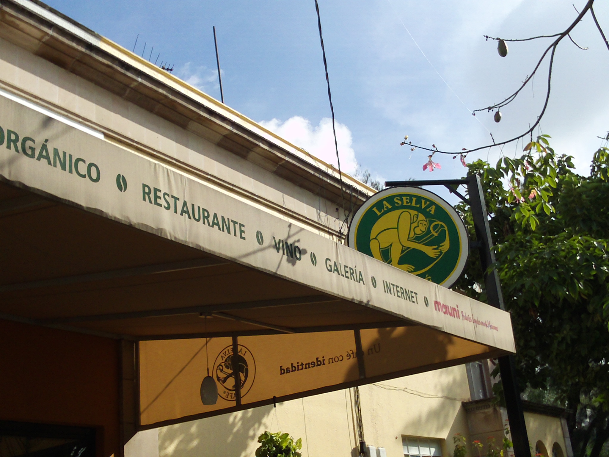 Café La Selva - Guadalajara